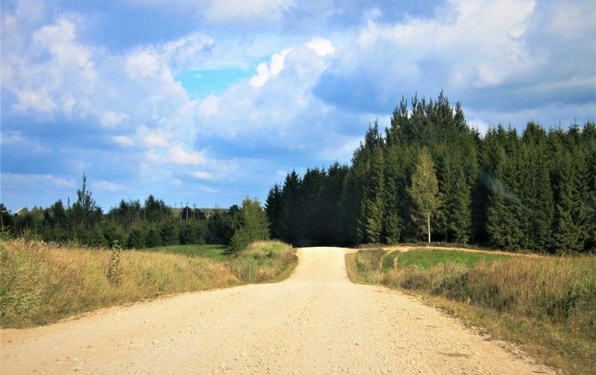 Kelių Asfaltavimas