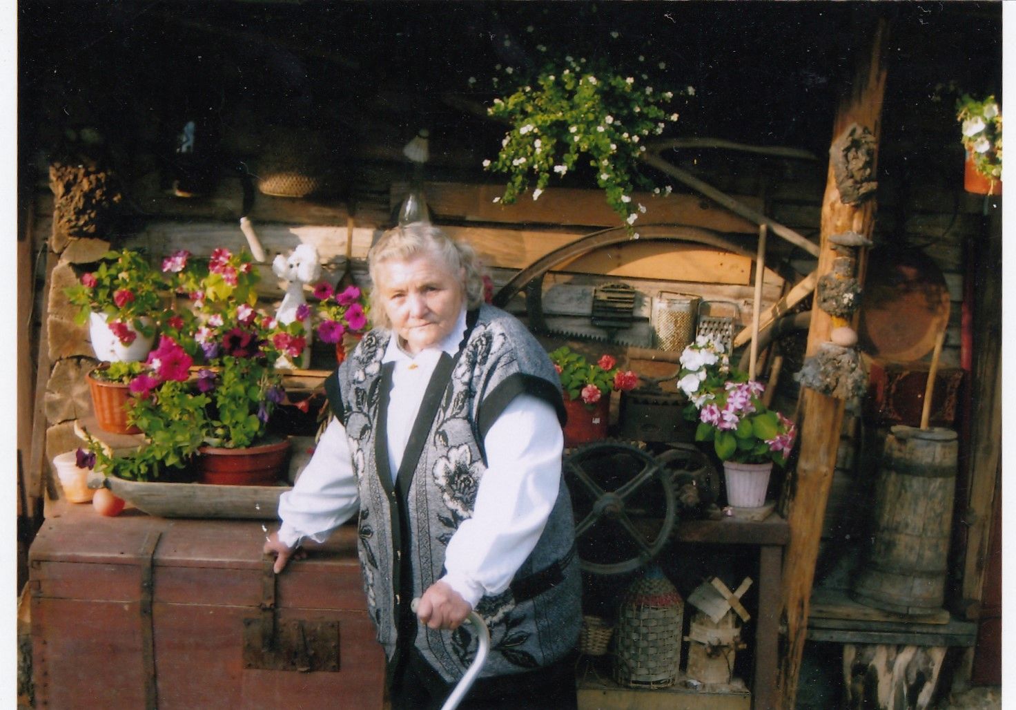 Jazenčikienė