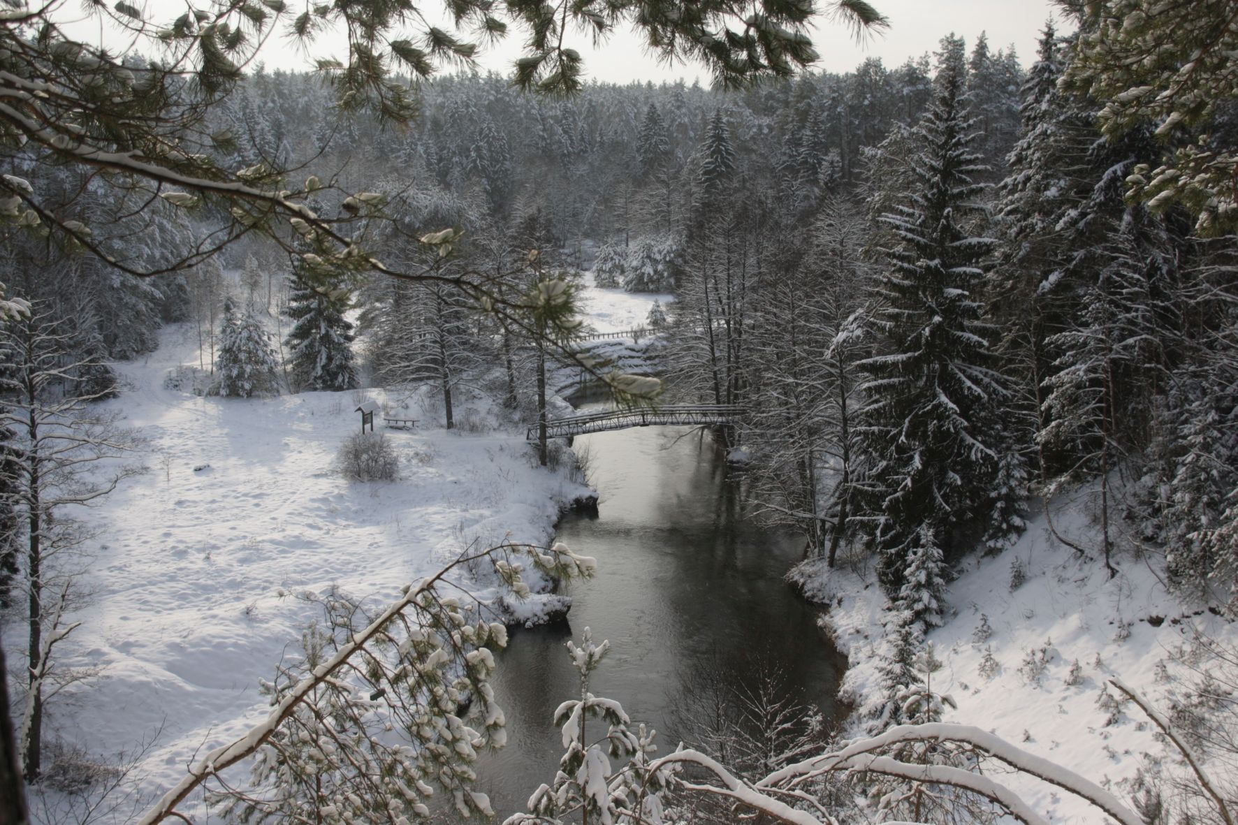 Kalėdiniam Atvirukui 4