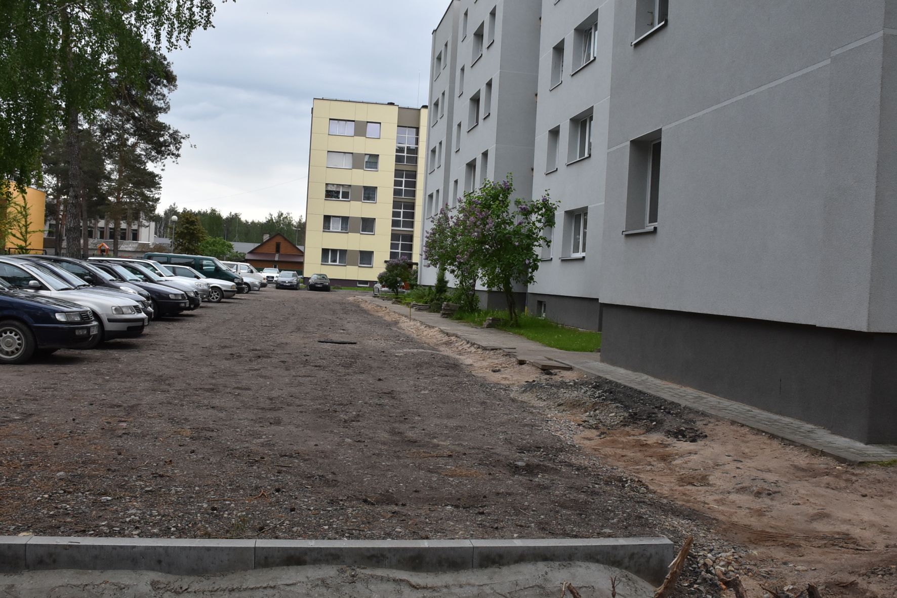 Au&scaron;ros G. Aik&scaron;telė.jpg 1