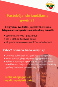 Informacija Del Gyvunu Geroves