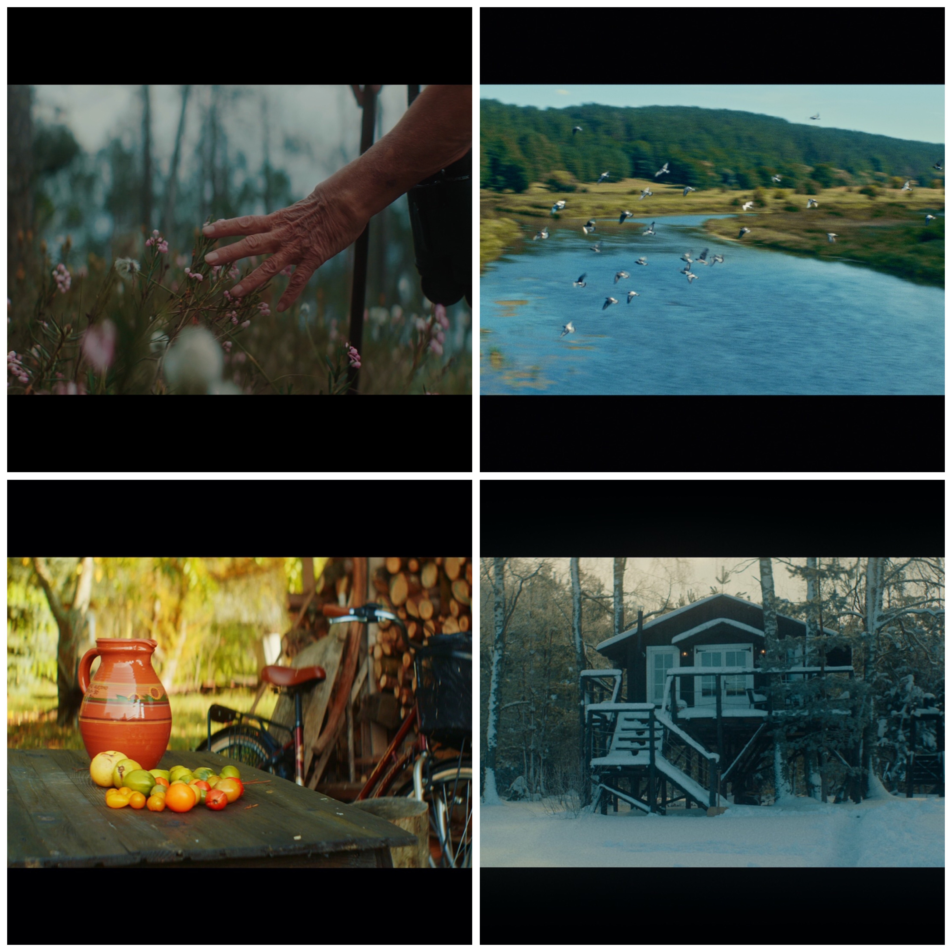 Filmų Kadrai