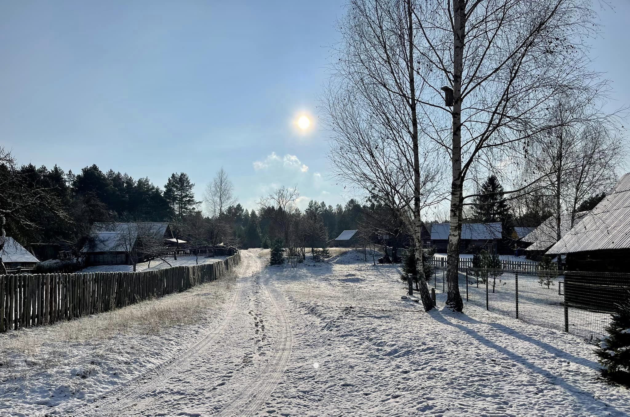 Kalėdiniam Atvirukui 20221