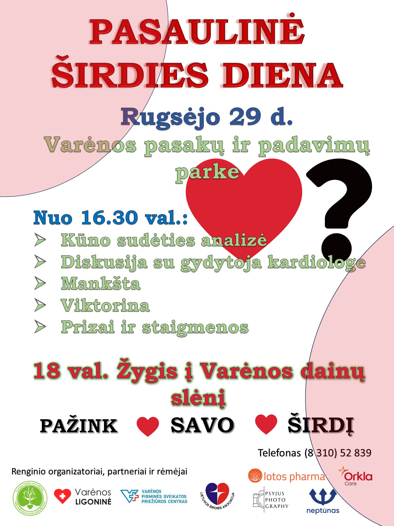 &Scaron;IRDIES DIENA Afi&scaron;a