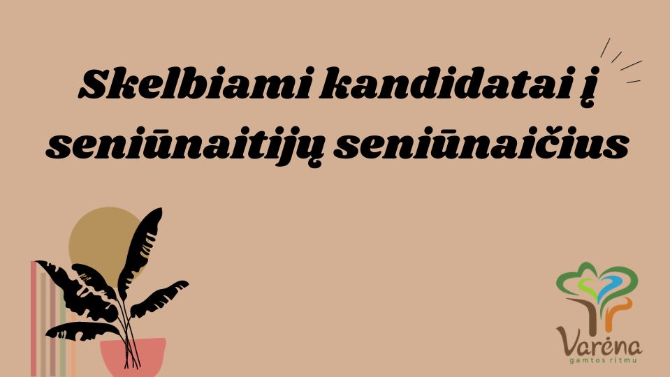 Jūsų Paragrafo Tekstas 3