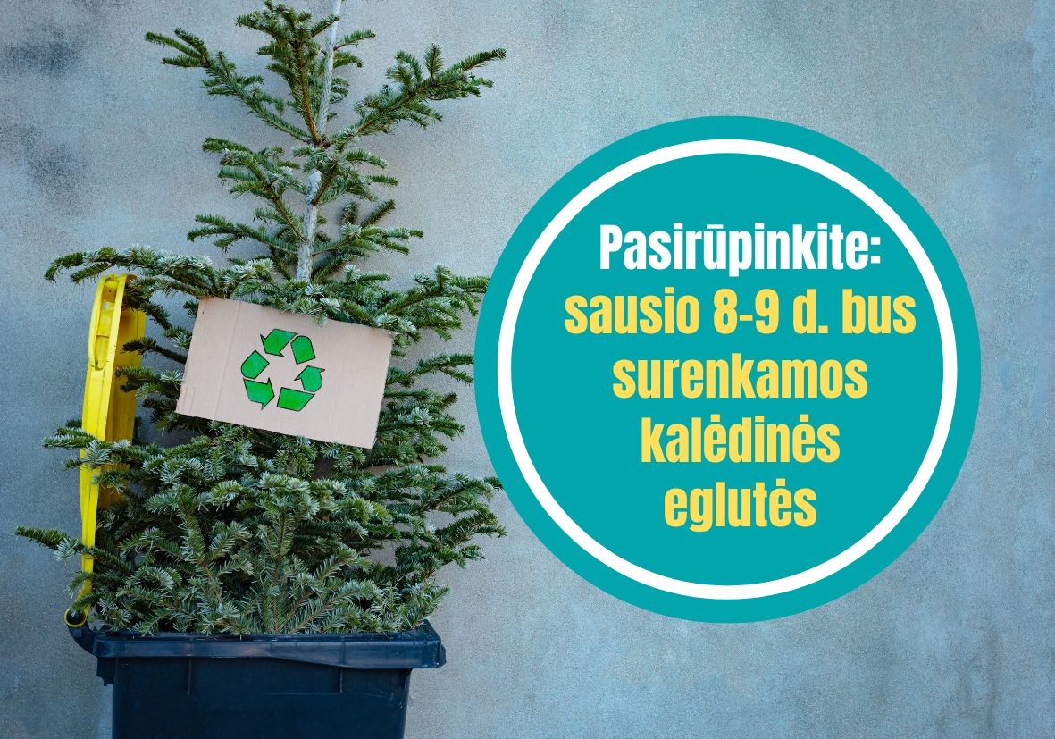 Savivaldybė