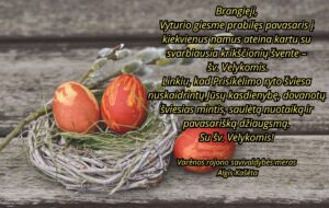 Jūsų Paragrafo Tekstas 13