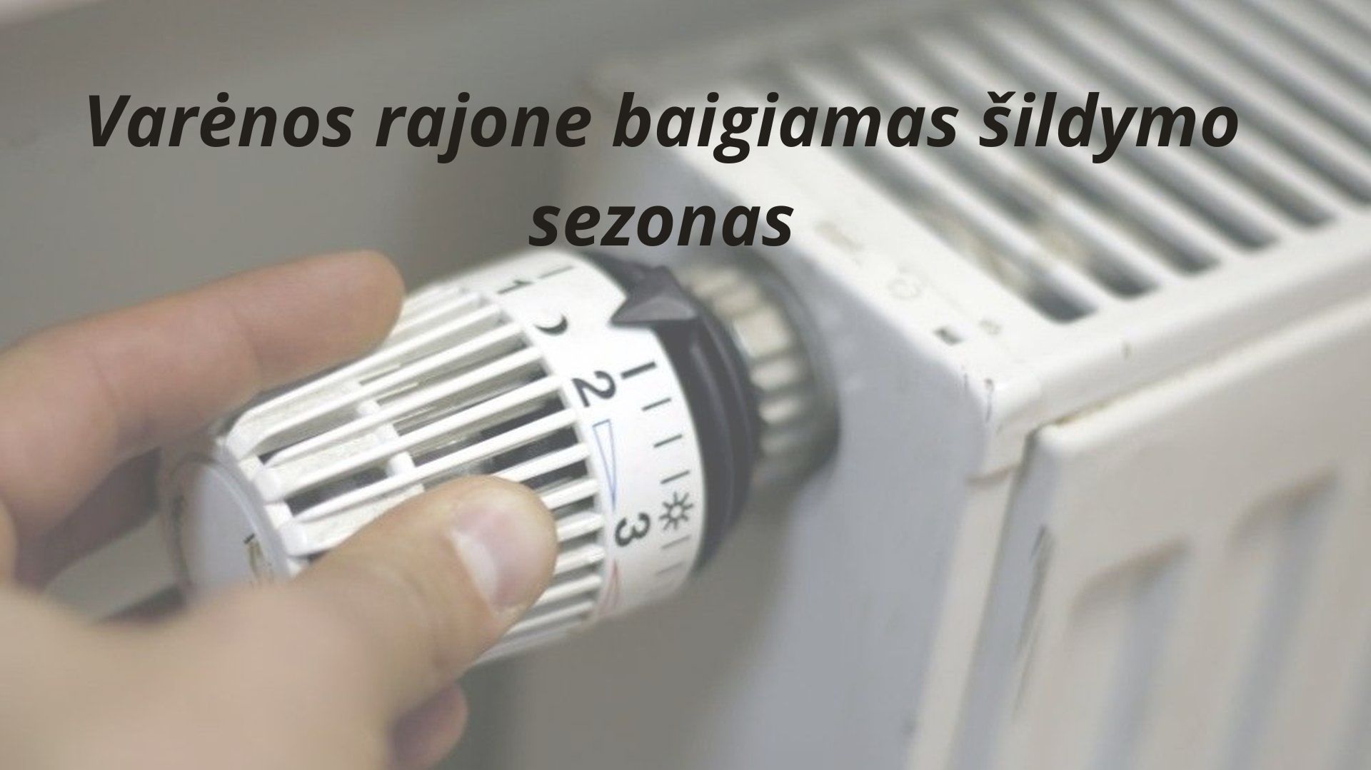 Jūsų Paragrafo Tekstas 17 1