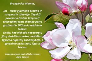 Mamoms 2