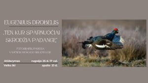 Paroda