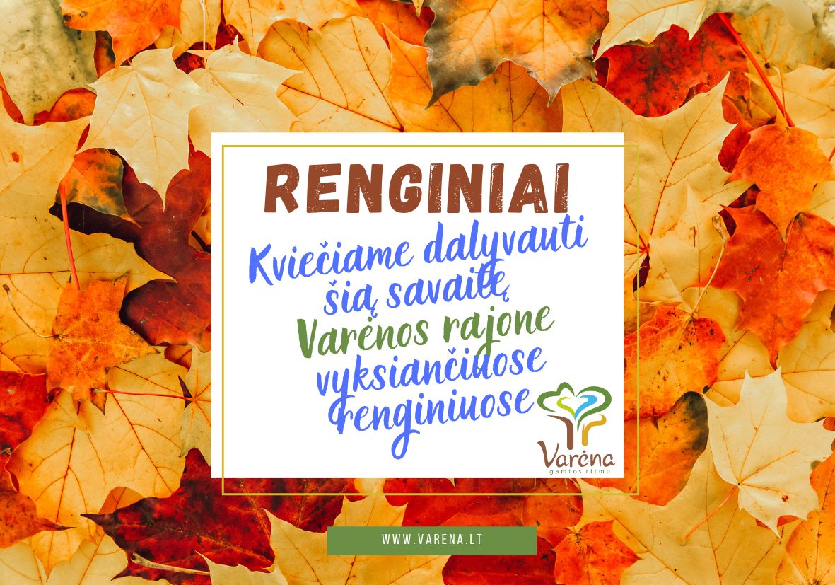 Savivaldybė 11