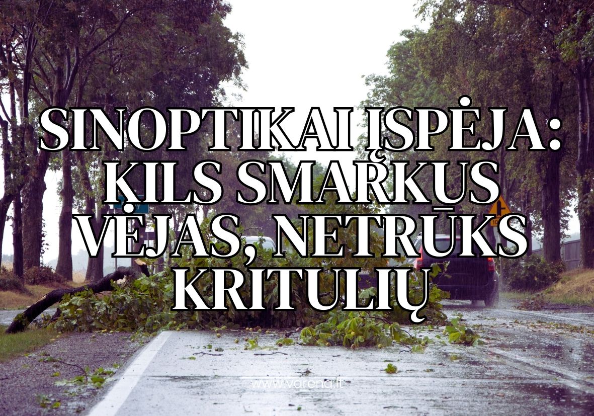 Savivaldybė 18
