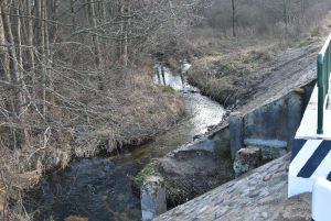 DSC 5921