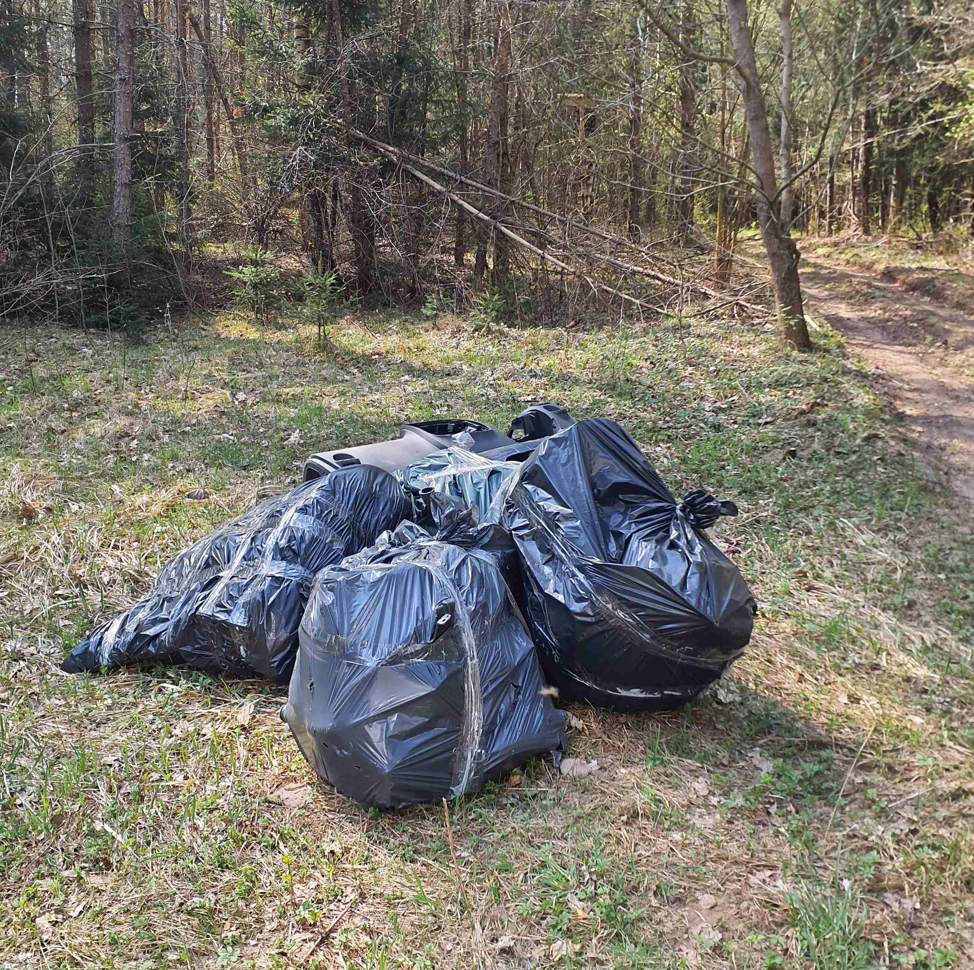 Šiukšlės Miške