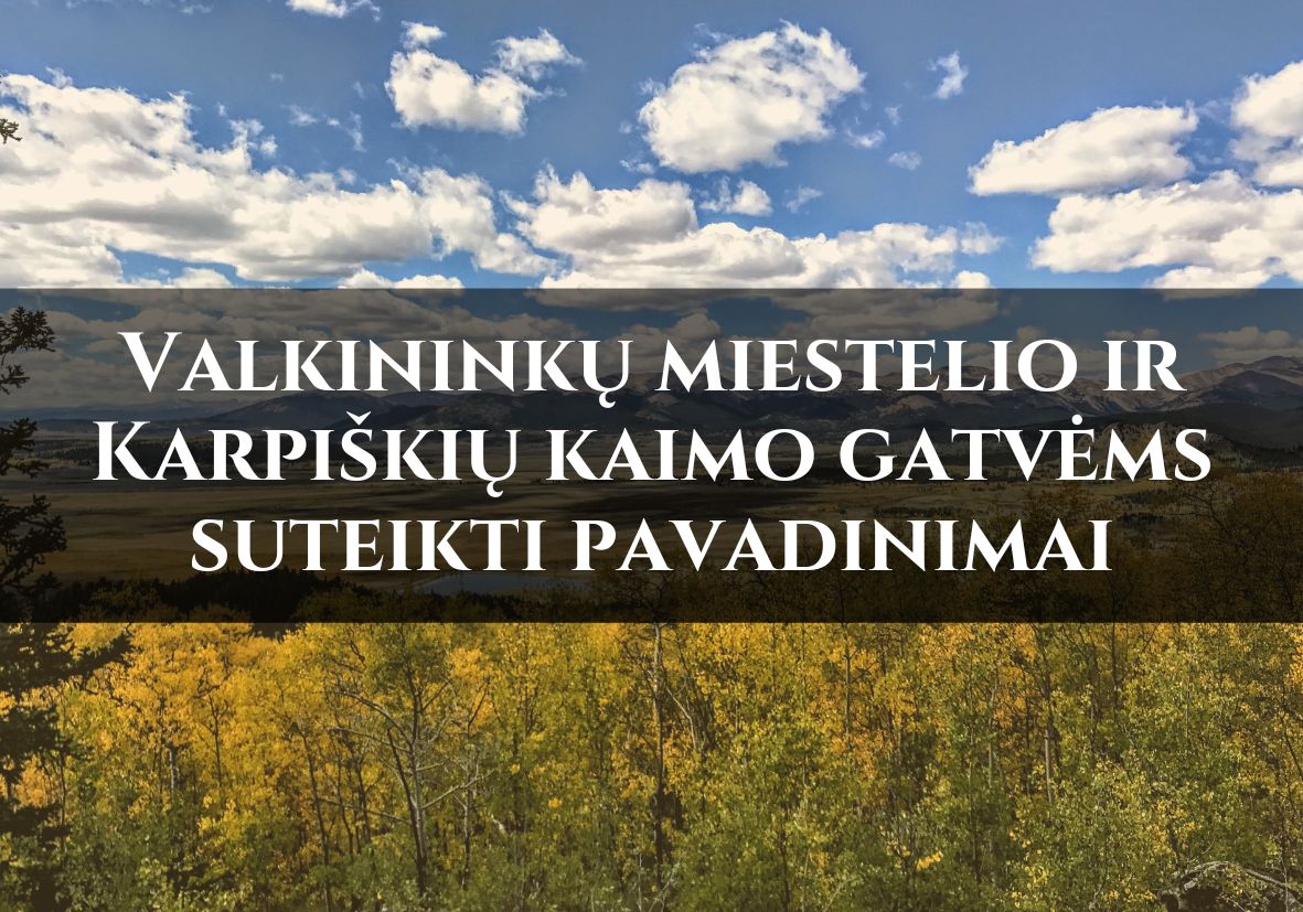 Savivaldybe