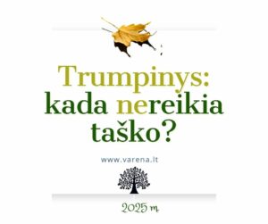 Www.varena.lt 11