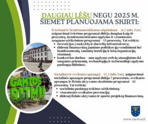 Strateginis Planas 2025 2