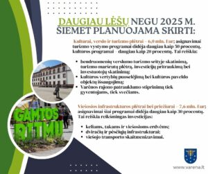 Strateginis Planas 2025 3