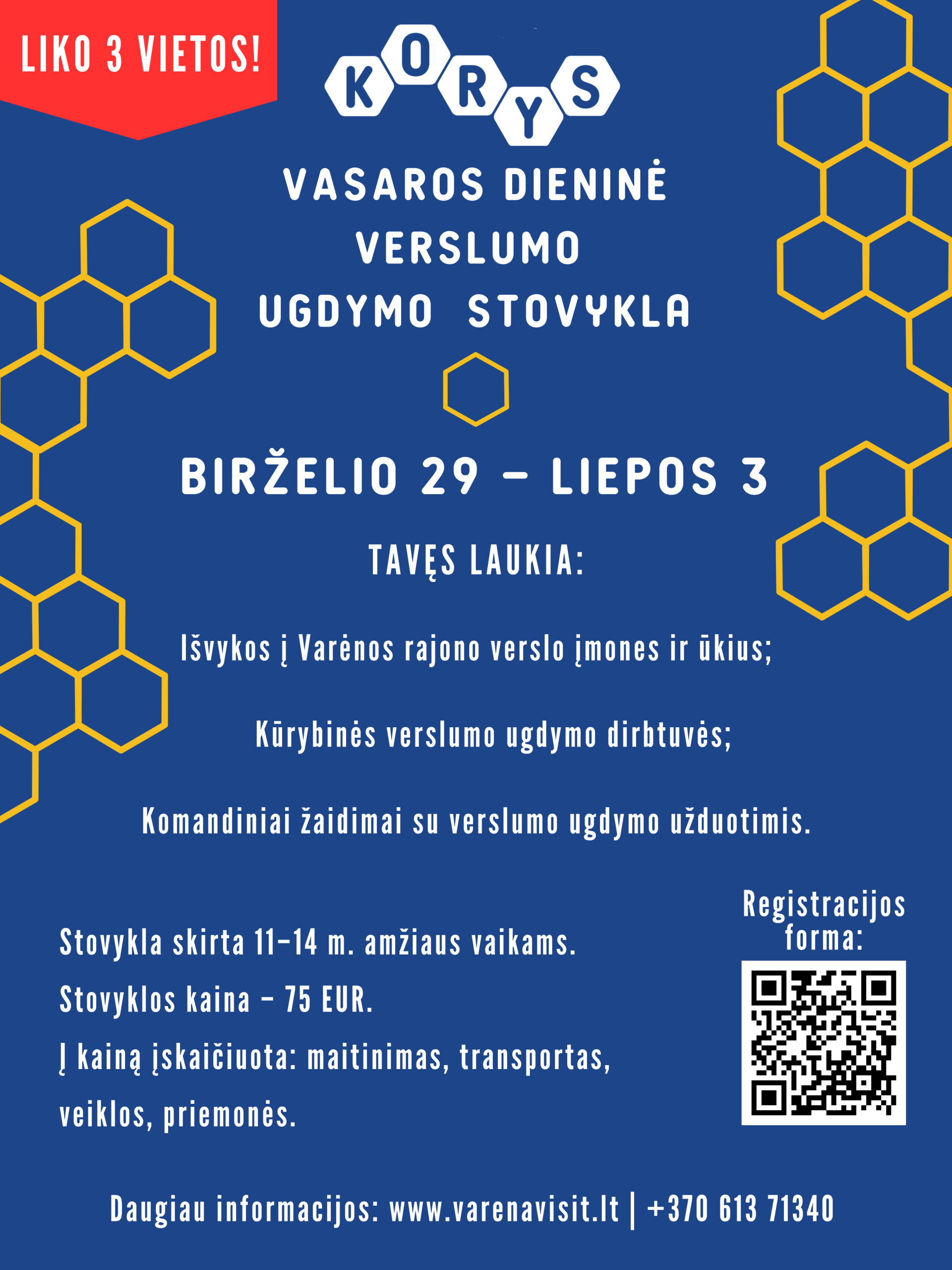 Stovykla Scaled
