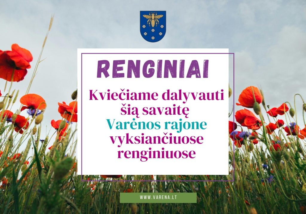 Savivaldybe 77