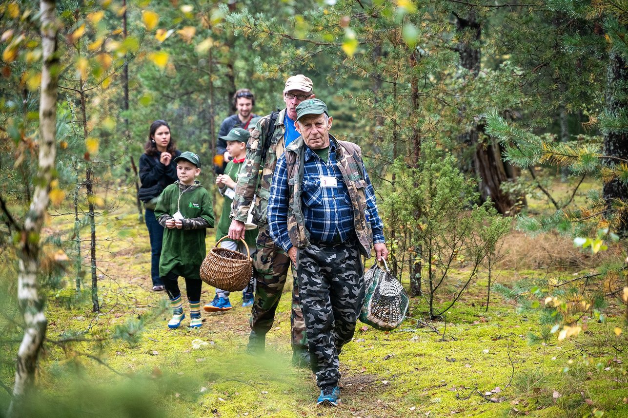Romosadausko Nuotrauka